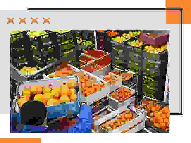 Перевозка скоропортящихся продуктов в Каменске-Уральском